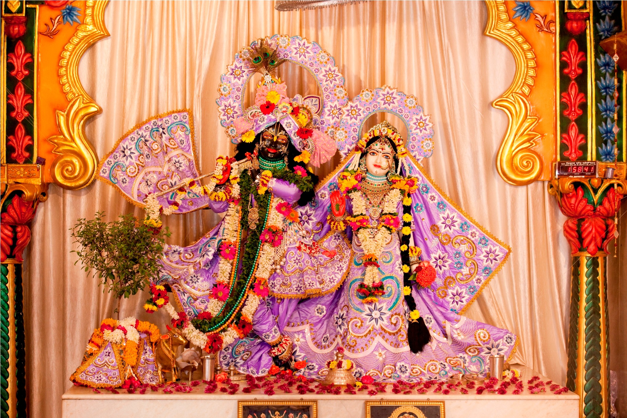 Iskcon Amravati Sri Sri Rukmini Dwarkadhish Mandir